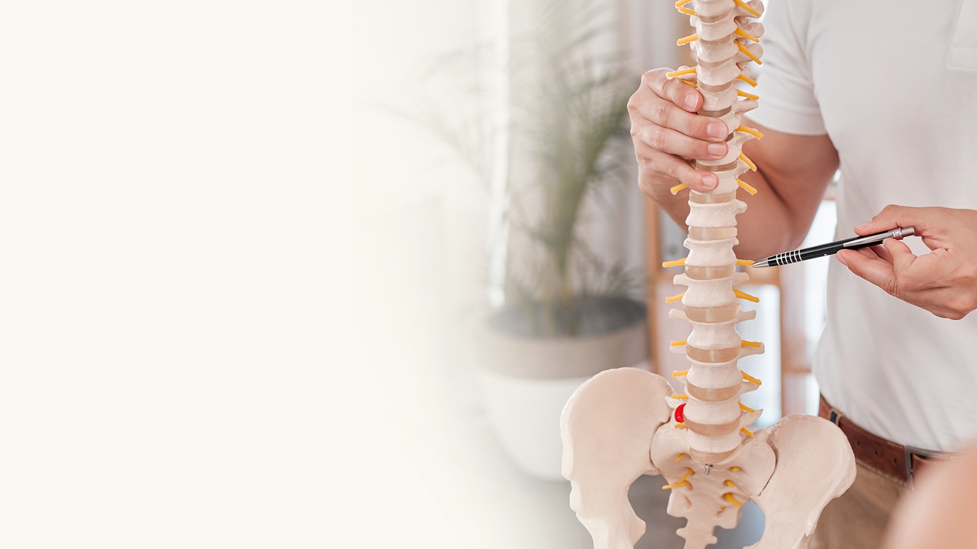 목디스크허리디스크 서울삼성정형외과의원